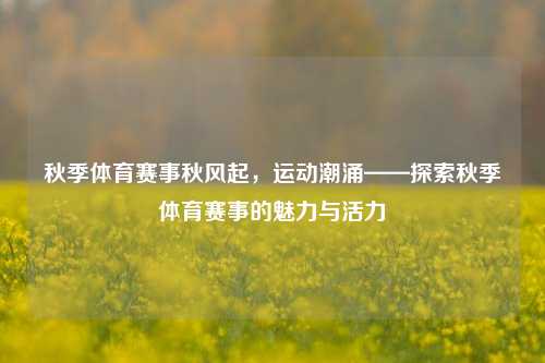 秋季体育赛事秋风起，运动潮涌——探索秋季体育赛事的魅力与活力