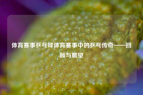 体育赛事乒乓球体育赛事中的乒乓传奇——回顾与展望