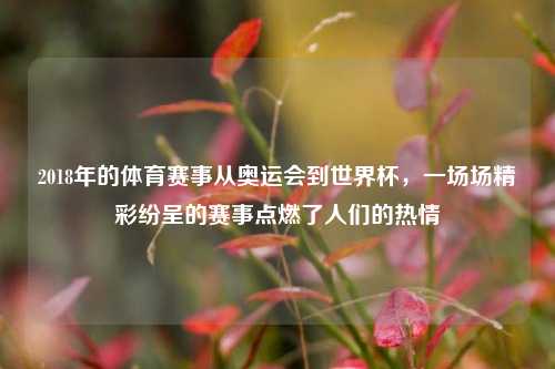 2018年的体育赛事从奥运会到世界杯，一场场精彩纷呈的赛事点燃了人们的热情