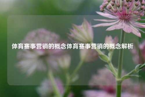 体育赛事营销的概念体育赛事营销的概念解析