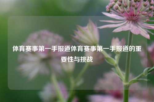 体育赛事第一手报道体育赛事第一手报道的重要性与挑战