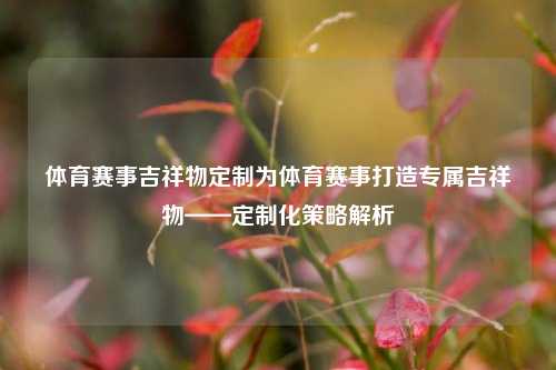 体育赛事吉祥物定制为体育赛事打造专属吉祥物——定制化策略解析