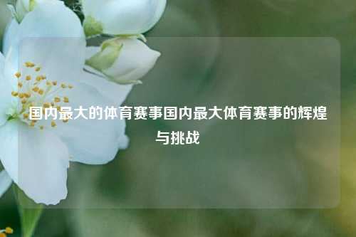 国内最大的体育赛事国内最大体育赛事的辉煌与挑战