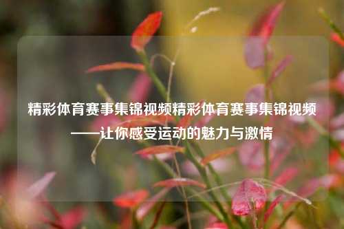 精彩体育赛事集锦视频精彩体育赛事集锦视频——让你感受运动的魅力与激情