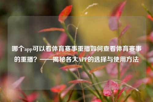 哪个app可以看体育赛事重播如何查看体育赛事的重播？——揭秘各大APP的选择与使用方法