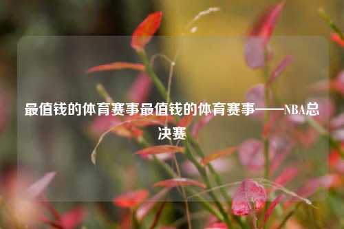 最值钱的体育赛事最值钱的体育赛事——NBA总决赛