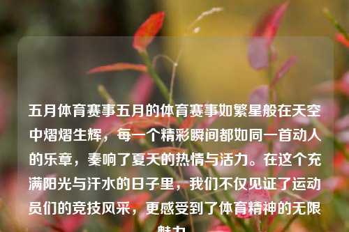 五月体育赛事五月的体育赛事如繁星般在天空中熠熠生辉，每一个精彩瞬间都如同一首动人的乐章，奏响了夏天的热情与活力。在这个充满阳光与汗水的日子里，我们不仅见证了运动员们的竞技风采，更感受到了体育精神的无限魅力。