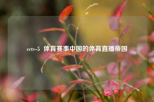 cctv-5  体育赛事中国的体育直播帝国