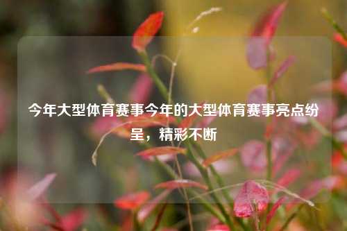 今年大型体育赛事今年的大型体育赛事亮点纷呈，精彩不断