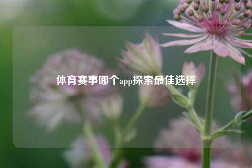 体育赛事哪个app探索最佳选择