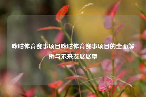 咪咕体育赛事项目咪咕体育赛事项目的全面解析与未来发展展望