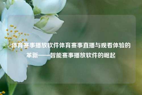 体育赛事播放软件体育赛事直播与观看体验的革新——智能赛事播放软件的崛起