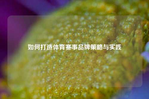 如何打造体育赛事品牌策略与实践