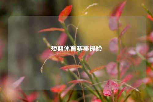 短期体育赛事保险