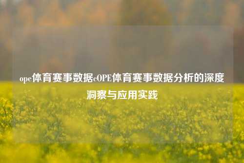 ope体育赛事数据cOPE体育赛事数据分析的深度洞察与应用实践