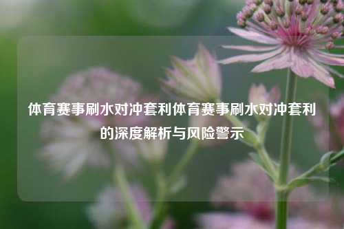 体育赛事刷水对冲套利体育赛事刷水对冲套利的深度解析与风险警示