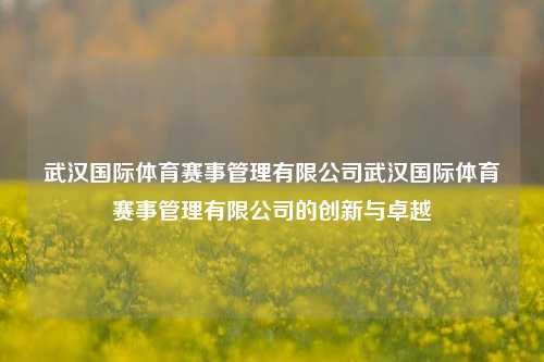 武汉国际体育赛事管理有限公司武汉国际体育赛事管理有限公司的创新与卓越