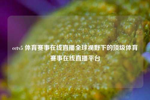 cctv5 体育赛事在线直播全球视野下的顶级体育赛事在线直播平台