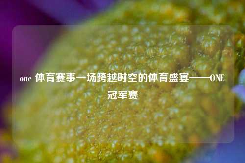 one 体育赛事一场跨越时空的体育盛宴——ONE冠军赛