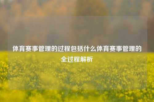体育赛事管理的过程包括什么体育赛事管理的全过程解析