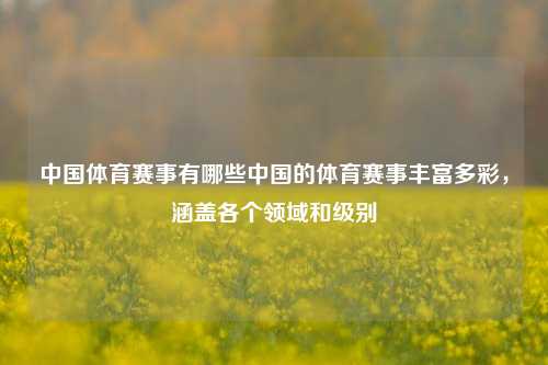 中国体育赛事有哪些中国的体育赛事丰富多彩，涵盖各个领域和级别