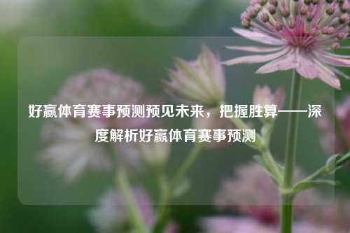 好赢体育赛事预测预见未来，把握胜算——深度解析好赢体育赛事预测