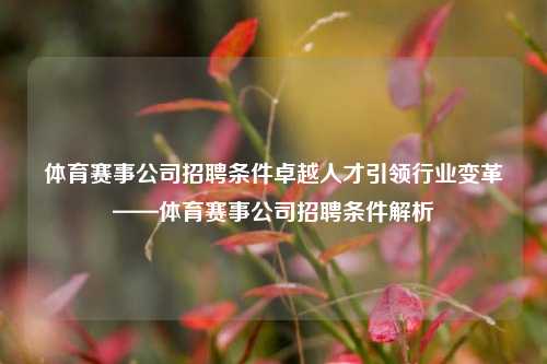 体育赛事公司招聘条件卓越人才引领行业变革——体育赛事公司招聘条件解析