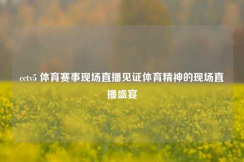 cctv5 体育赛事现场直播见证体育精神的现场直播盛宴