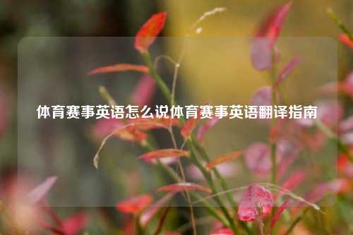 体育赛事英语怎么说体育赛事英语翻译指南