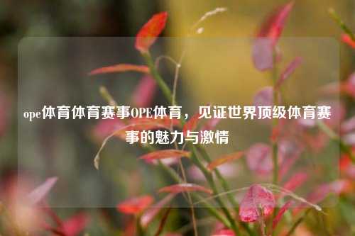 ope体育体育赛事OPE体育，见证世界顶级体育赛事的魅力与激情