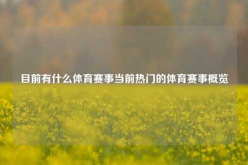 目前有什么体育赛事当前热门的体育赛事概览