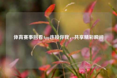 体育赛事回看App连接你我，共享精彩瞬间