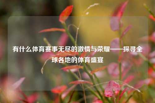 有什么体育赛事无尽的激情与荣耀——探寻全球各地的体育盛宴