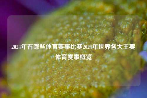 2024年有哪些体育赛事比赛2024年世界各大主要体育赛事概览
