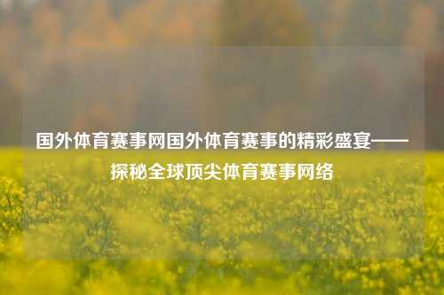 国外体育赛事网国外体育赛事的精彩盛宴——探秘全球顶尖体育赛事网络