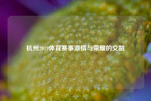 杭州2019体育赛事激情与荣耀的交融