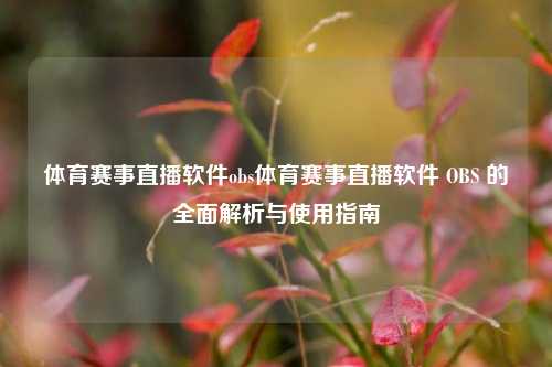 体育赛事直播软件obs体育赛事直播软件 OBS 的全面解析与使用指南