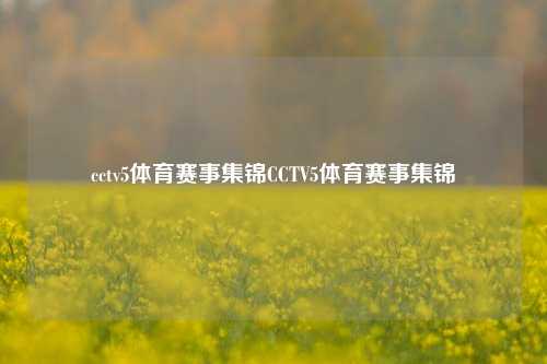 cctv5体育赛事集锦CCTV5体育赛事集锦