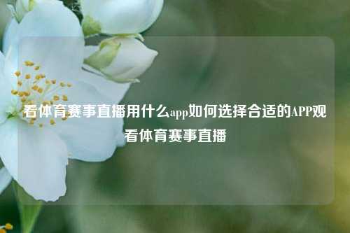 看体育赛事直播用什么app如何选择合适的APP观看体育赛事直播