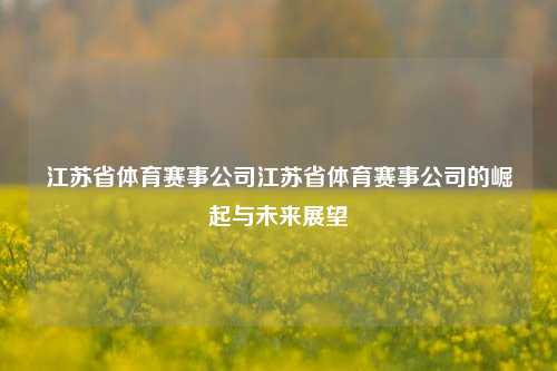 江苏省体育赛事公司江苏省体育赛事公司的崛起与未来展望