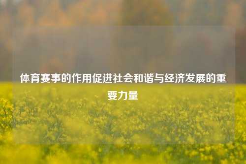 体育赛事的作用促进社会和谐与经济发展的重要力量