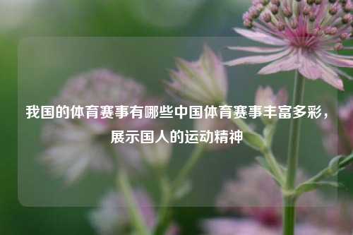 我国的体育赛事有哪些中国体育赛事丰富多彩，展示国人的运动精神