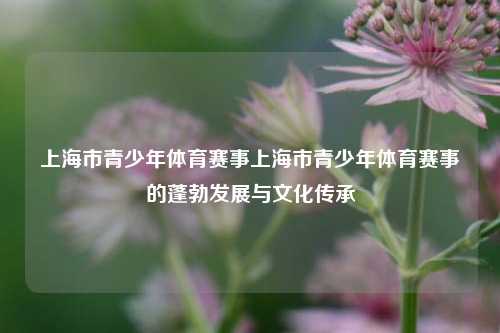 上海市青少年体育赛事上海市青少年体育赛事的蓬勃发展与文化传承