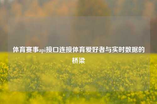 体育赛事api接口连接体育爱好者与实时数据的桥梁