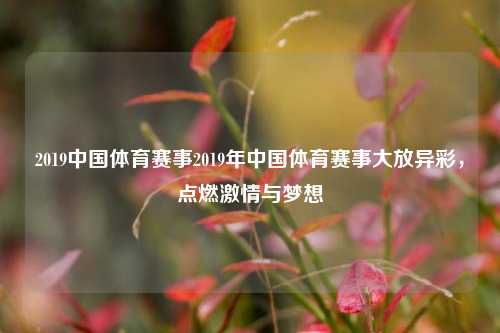 2019中国体育赛事2019年中国体育赛事大放异彩，点燃激情与梦想