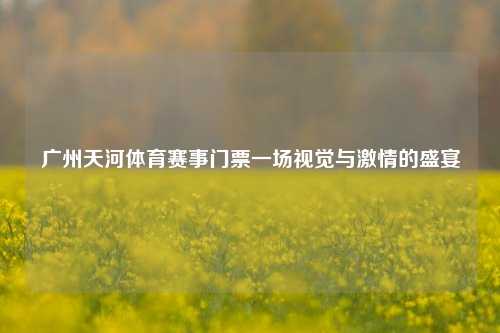 广州天河体育赛事门票一场视觉与激情的盛宴