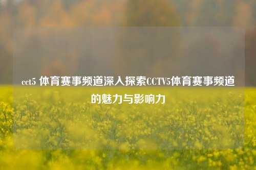 cct5 体育赛事频道深入探索CCTV5体育赛事频道的魅力与影响力