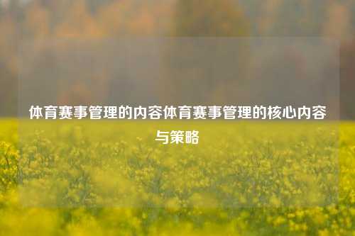 体育赛事管理的内容体育赛事管理的核心内容与策略