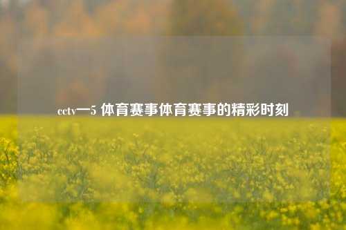 cctv一5 体育赛事体育赛事的精彩时刻
