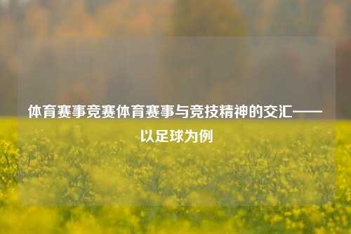 体育赛事竞赛体育赛事与竞技精神的交汇——以足球为例